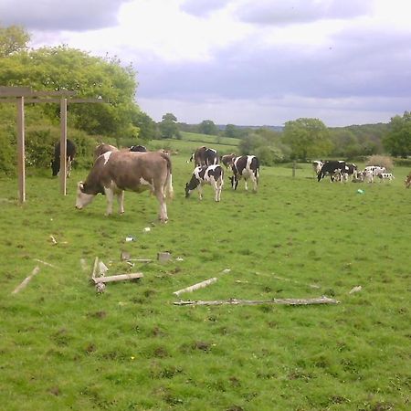Beoley Lodge Redditch Luaran gambar