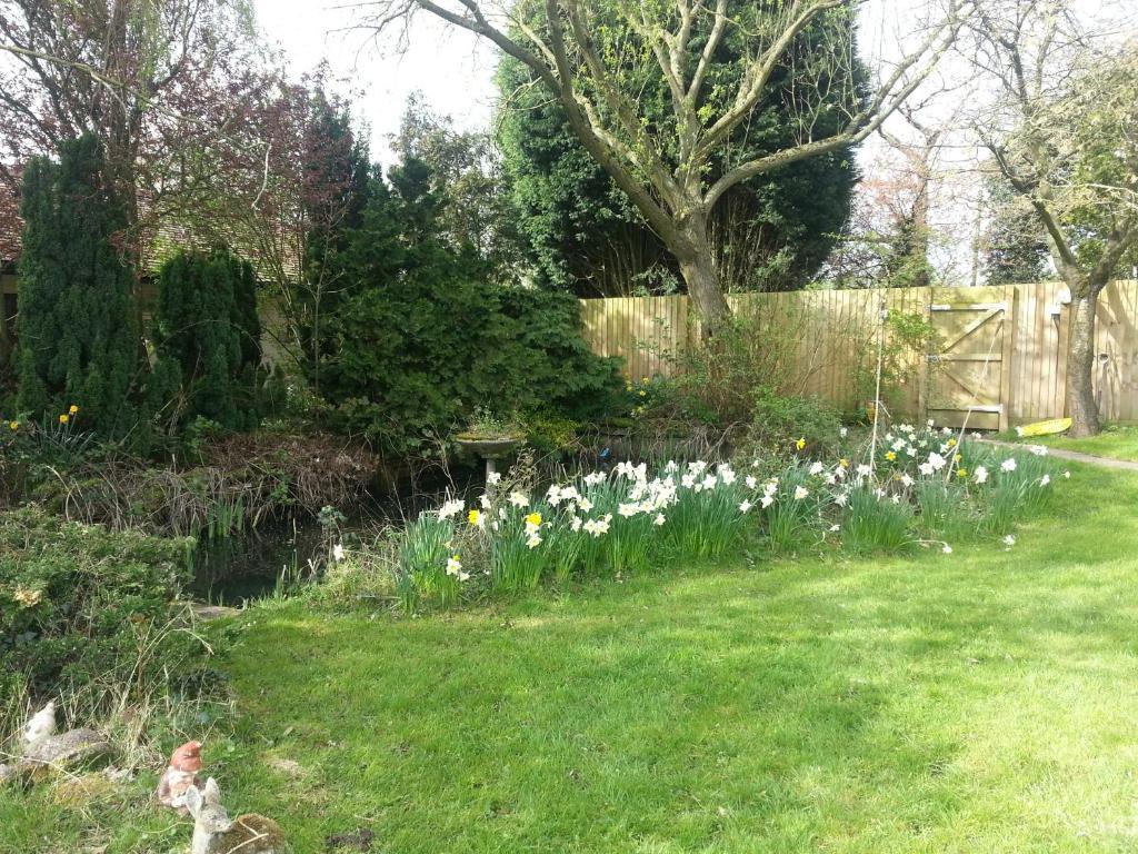 Beoley Lodge Redditch Luaran gambar