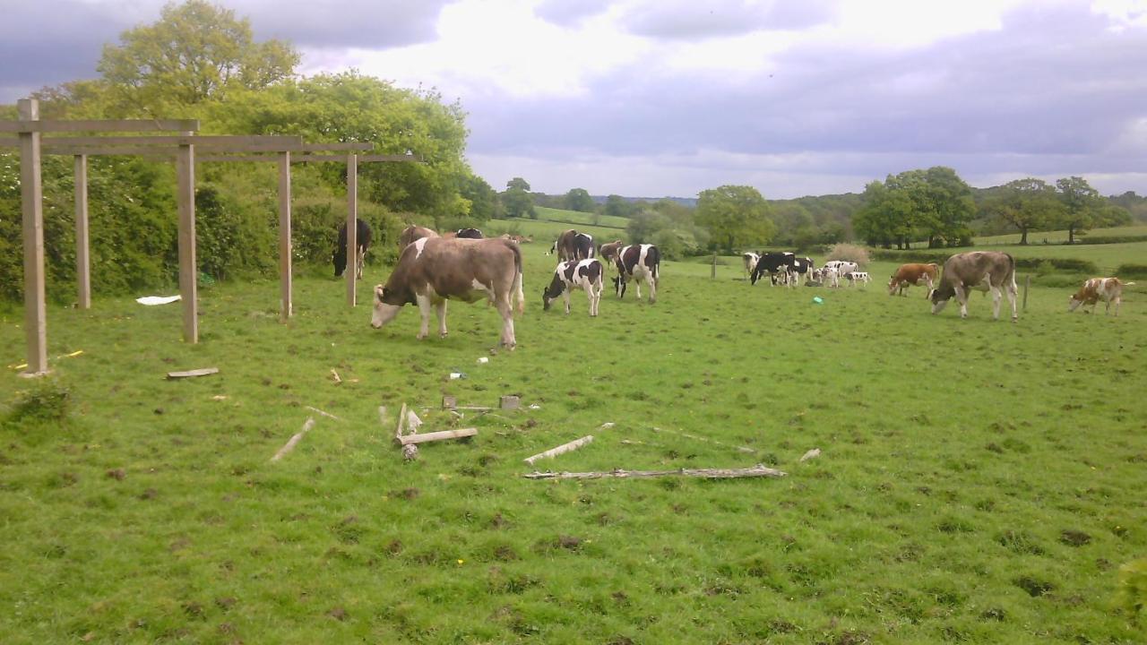 Beoley Lodge Redditch Luaran gambar
